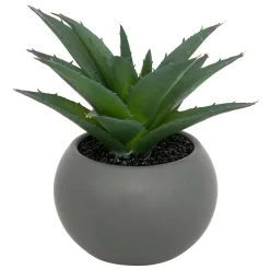 Plante grasse en pot H13- Gris- Atmosphera