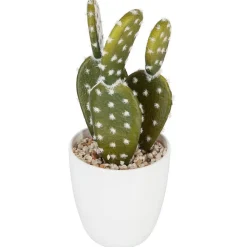 Plante succulente & cactus H18 - Noir- Atmosphera