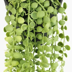 Plante succulente retombante artificielle 40cm