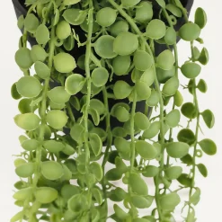 Plante succulente retombante artificielle 40cm