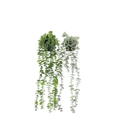 Plante succulente retombante artificielle 50cm lot de 2