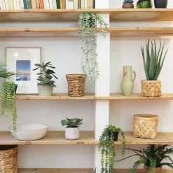 Plante succulente retombante artificielle 50cm lot de 2