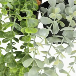 Plante succulente retombante artificielle 50cm lot de 2