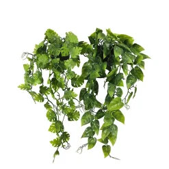 Plante succulente retombante artificielle 50cm lot de 2