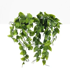 Plante succulente retombante artificielle 50cm lot de 2