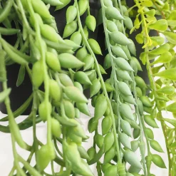 Plante succulente retombante artificielle 40/60cm lot de 3