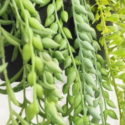 Plante succulente retombante artificielle 40/60cm lot de 3