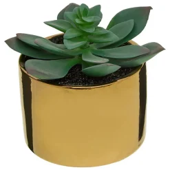 Plante verte pot céramique H.15- Multicolore- Atmosphera