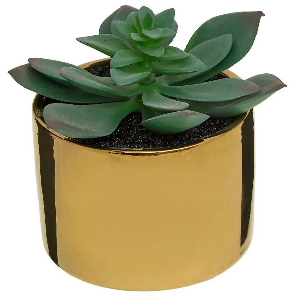 Plante verte pot céramique H.15- Multicolore- Atmosphera