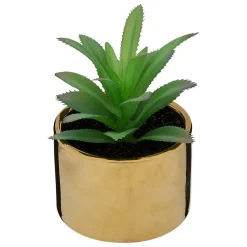 Plante verte pot céramique H.15- Multicolore- Atmosphera