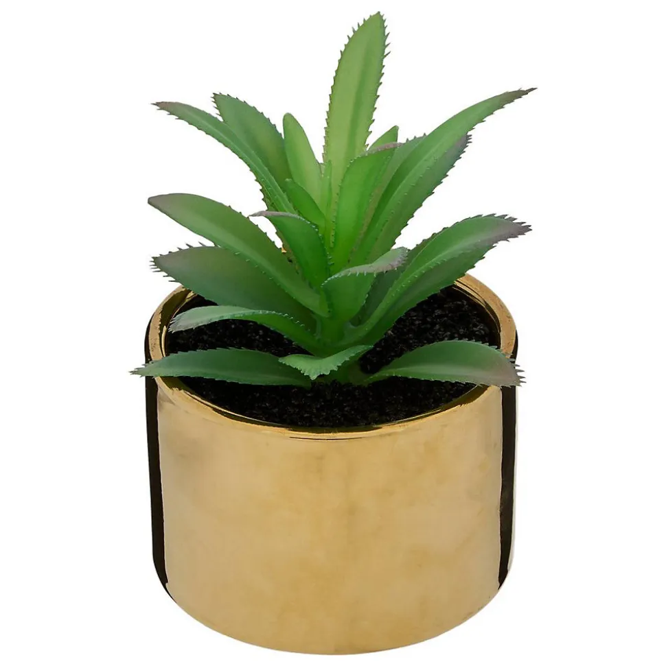 Plante verte pot céramique H.15- Multicolore- Atmosphera