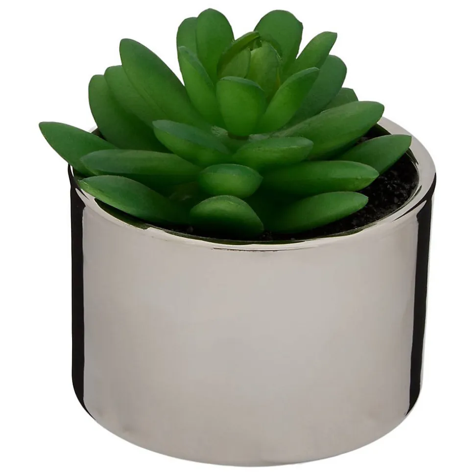 Plante verte pot céramique H.15- Multicolore- Atmosphera