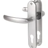 Poignée de porte d'entrée - Budget - Vachette - Gris argent - Clé I - 165 mm