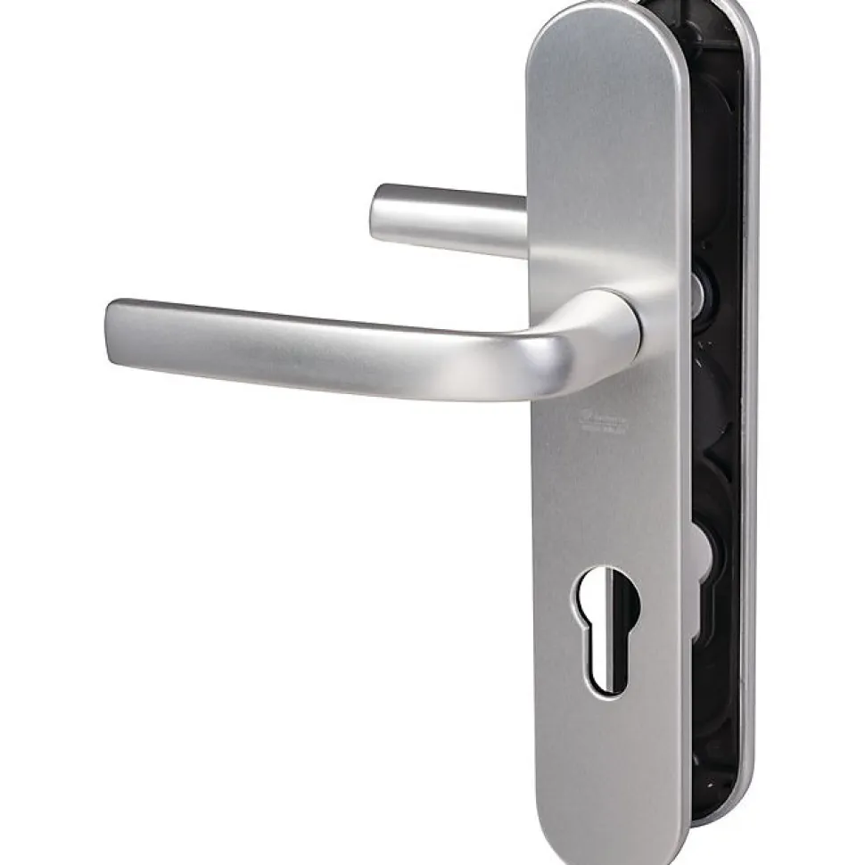 Poignée de porte d'entrée - Logio - Vachette - Gris argent - Clé I - 195 mm
