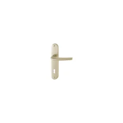 Poignée de porte d'entrée - San diego - Hoppe Et Cie - Gris argent - Clé I - 165 mm