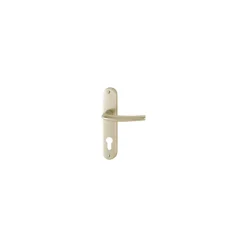 Poignée de porte d'entrée - San diego - Hoppe Et Cie - Gris argent - Clé I - 165 mm