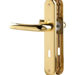 Poignée de porte intérieure - Tokyo - Hoppe Et Cie - Doré - Clé L - 195 mm