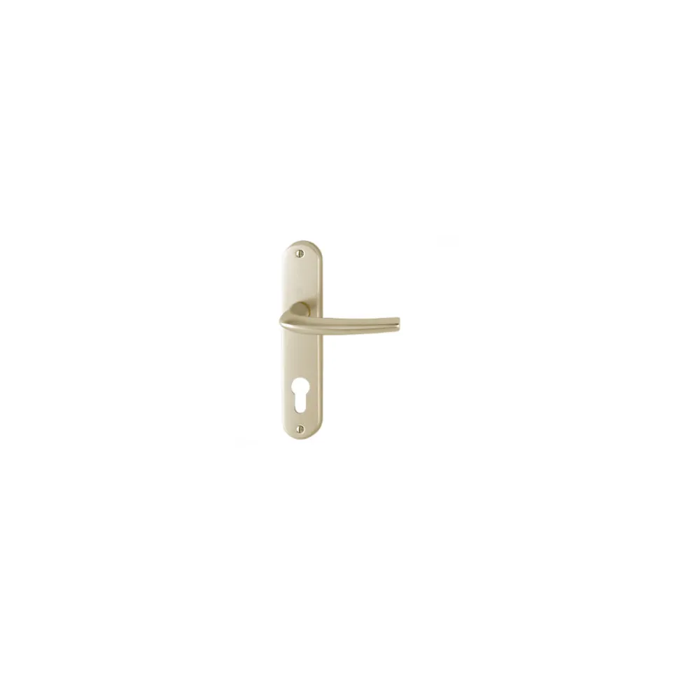 Poignée de porte intérieure - San diego - Hoppe Et Cie - Gris argent - Condamnation - 165 mm