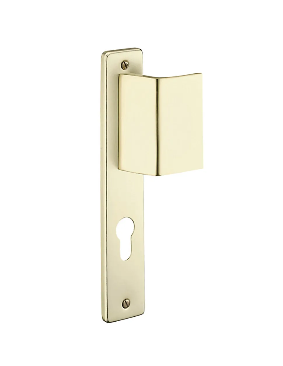 Poignée pour porte d'entrée palière renforcée Picardie trou de cylindre, carré 7mm, entr'axes 195mm, couleur champagne - THIRARD