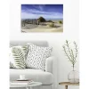 Poster intissé AMMOPHILA ARENARIA plage 90 x 60 cm - Décoration intérieure HD
