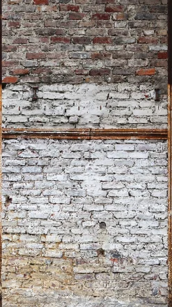 Profhome 383501-GU Papier peint photo lisse mat 1,59 m x 2,8 m