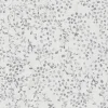 Profhome 397474-GU Papier peint floral légèrement texturé mat 5,33 m2