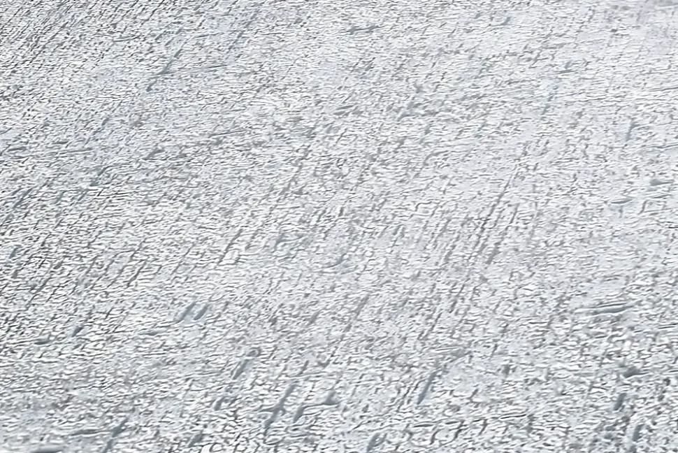 Profhome 380895-GU Papier peint ton-sur ton légèrement texturé mat 5,33 m2