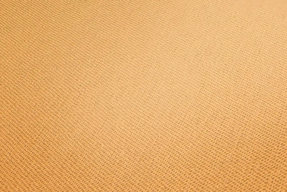 Profhome 377486-GU Papier peint ton-sur ton lisse mat 5,33 m2