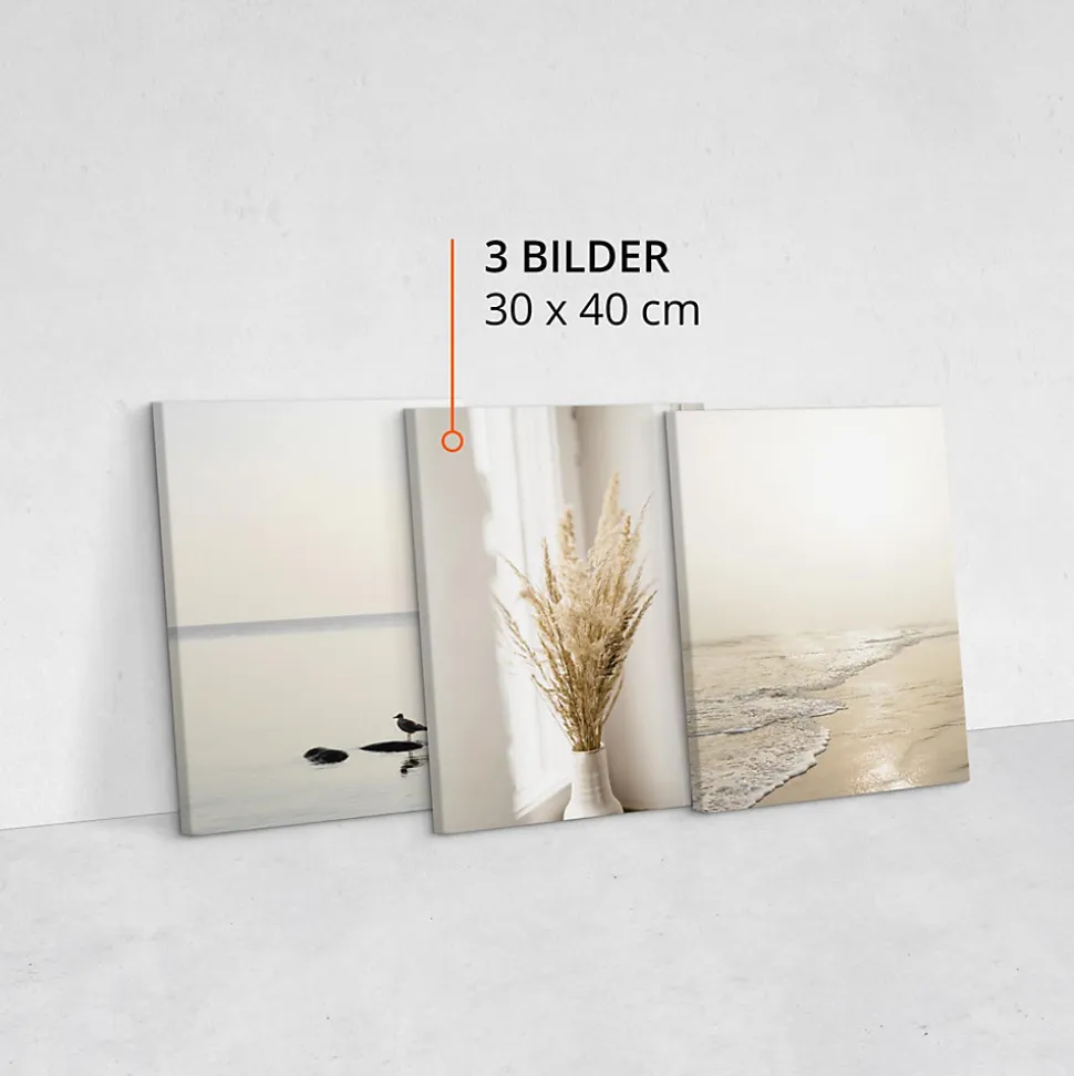 Set De Tableaux Déco Mer Plage Plantes 90cm x 40cm - Parfait pour décorer votre salon, chambre ou bureau avec un design unique et