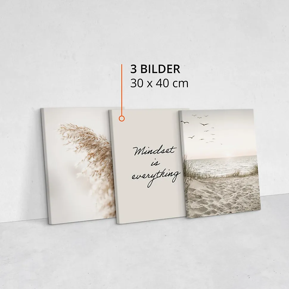 Set De Tableaux Plage Citation Plantes 90cm x 40cm - Parfait pour décorer votre salon, chambre ou bureau avec un design unique et