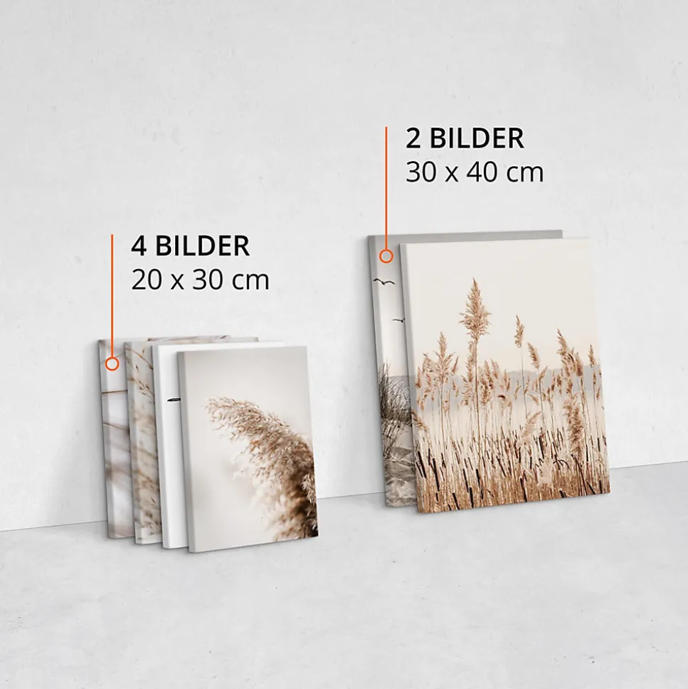 Set De Tableaux Plage Plantes Citation 90cm x 80cm - Parfait pour décorer votre salon, chambre ou bureau avec un design unique et