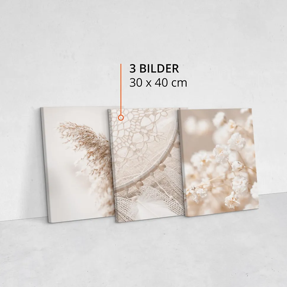 Set De Tableaux Plantes Attrape-Rêves 90cm x 40cm - Parfait pour décorer votre salon, chambre ou bureau avec un design unique et