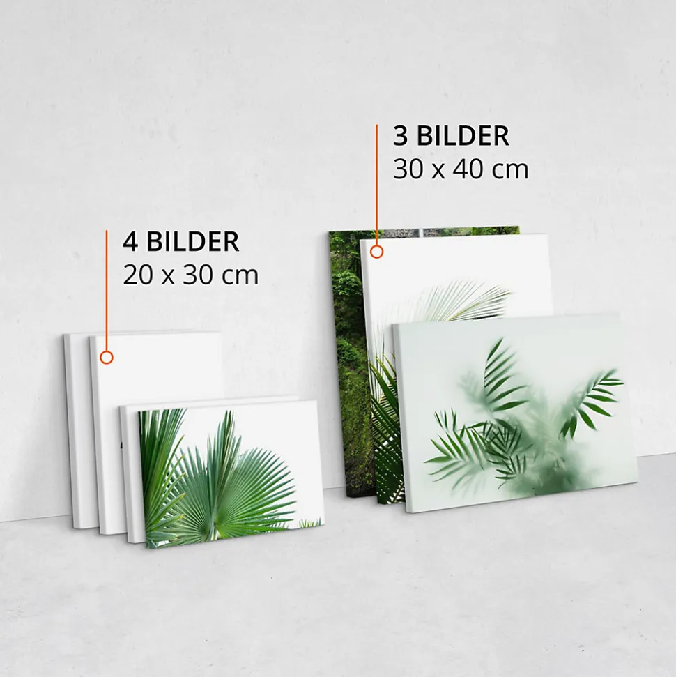 Set De Tableaux Plantes Cascade Citation 110cm x 80cm - Parfait pour décorer votre salon, chambre ou bureau avec un design unique