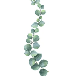 Sticker mural décoratif 68 cm X 24 cm, illustration aquarelle de branche d'eucalyptus, décoration intérieure pour la maison.