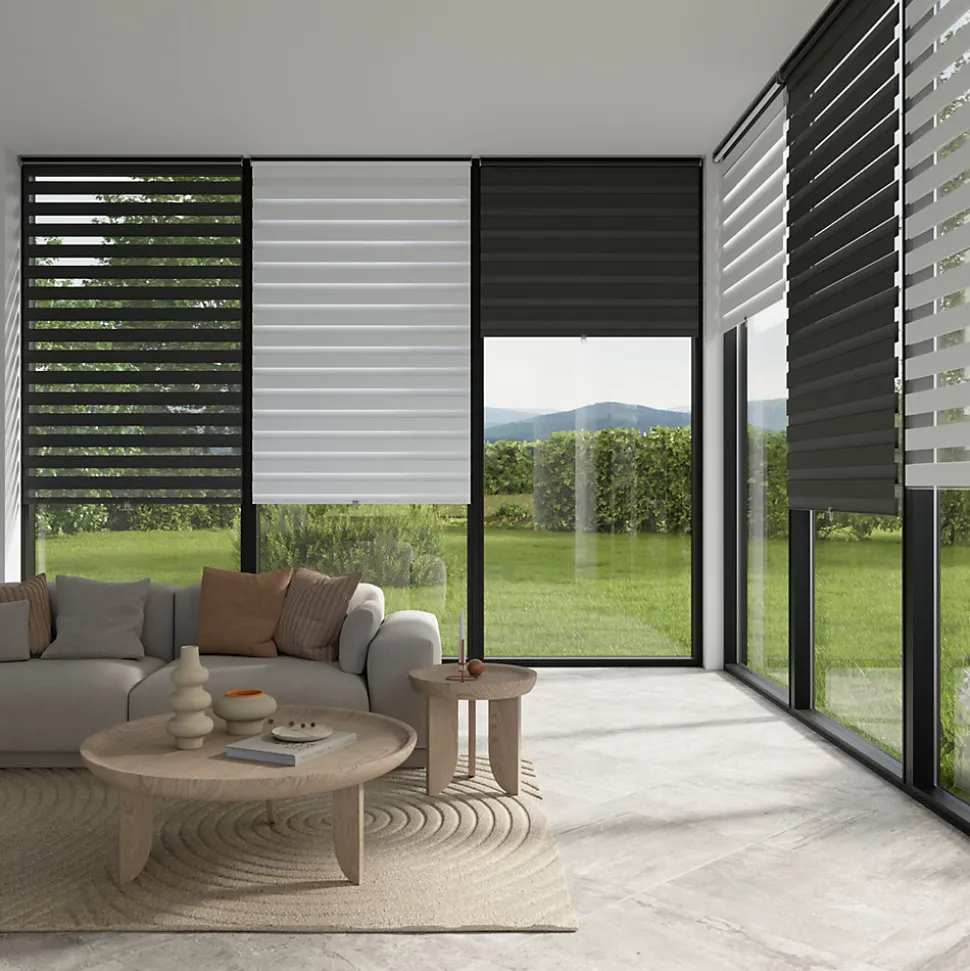 Store enrouleur jour / nuit sans perçage Keston noir l.45 x H.140cm Goodhome