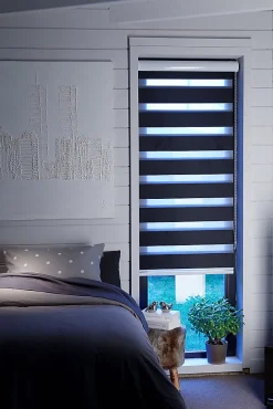 Store Enrouleur Jour/Nuit Occultant Noir (90x220 cm - Noir)