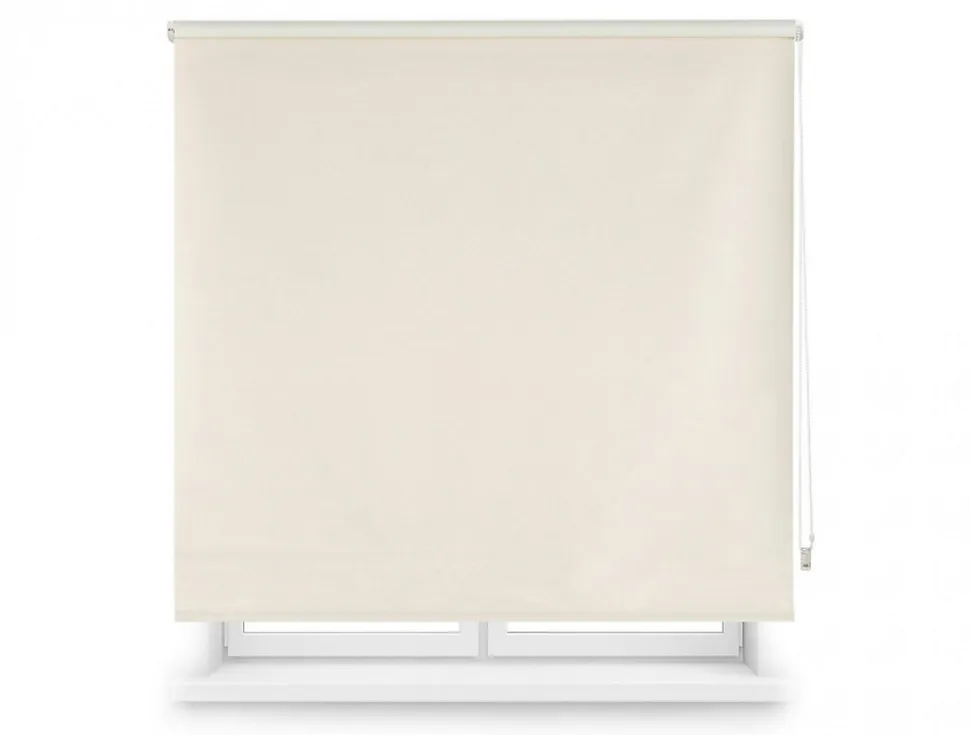 Store enrouleur Polyester Translucide 120x250