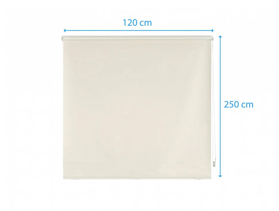 Store enrouleur Polyester Translucide 120x250
