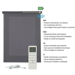 Store Enrouleur Translucide Stores Motorises avec batterie, moteur et télécommande Gris Argent 100 x 250 cm
