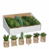Succulente artificiel en pot vert 6 assorti ø5 x h.12 cm