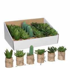 Succulente artificiel en pot vert 6 assorti ø5 x h.12 cm