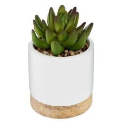 Succulente artificielle - pot en céramique - H12 cm - Vert clair- Atmosphera