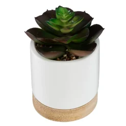 Succulente artificielle - pot en céramique - H12 cm - Vert clair- Atmosphera