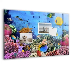 Tableau Aimanté Tulup 60x40 cm La vie sous-marine En Verre Pour Cuisine