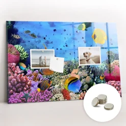 Tableau Aimanté Tulup 60x40 cm La vie sous-marine En Verre Pour Cuisine
