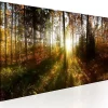 Tableau Beautiful Forest 120x40 cm