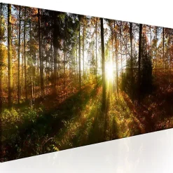 Tableau Beautiful Forest 120x40 cm
