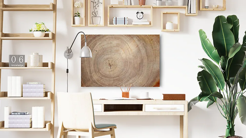 Tableau Magnétique en Métal Motif Tronc Cernes de Bois 60x40cm, MetalBoards pour tout type d'Aimants