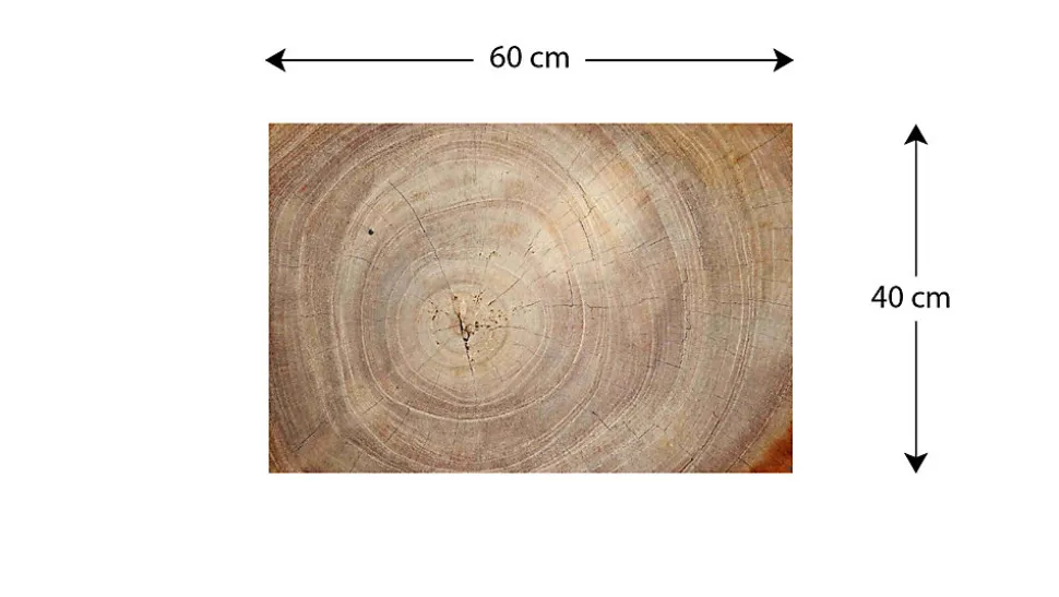 Tableau Magnétique en Métal Motif Tronc Cernes de Bois 60x40cm, MetalBoards pour tout type d'Aimants