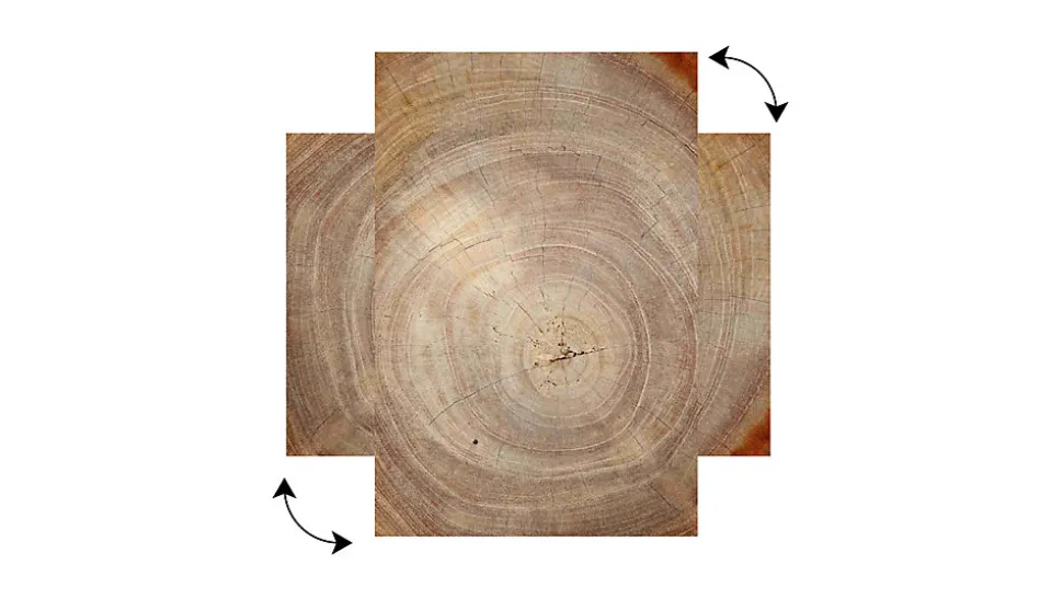 Tableau Magnétique en Métal Motif Tronc Cernes de Bois 60x40cm, MetalBoards pour tout type d'Aimants